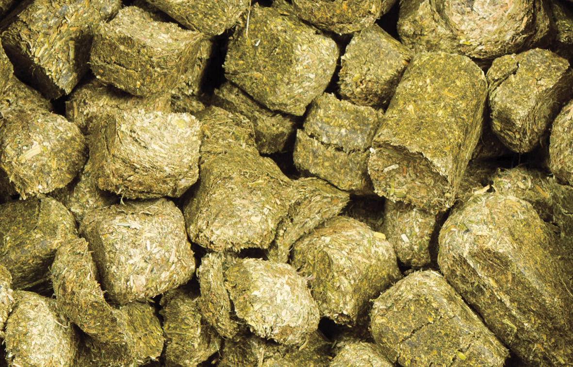 Fieno WAFER ZICO - Briganti