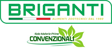 Briganti